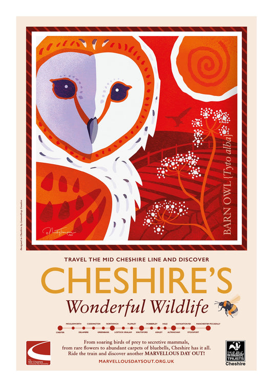 Barn Owl Poster