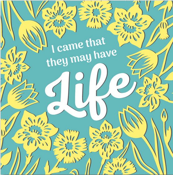 Easter 5 Card Pack - Daffodils and Scripture Message
