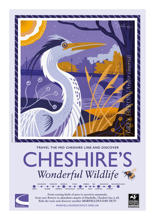 Grey Heron Poster