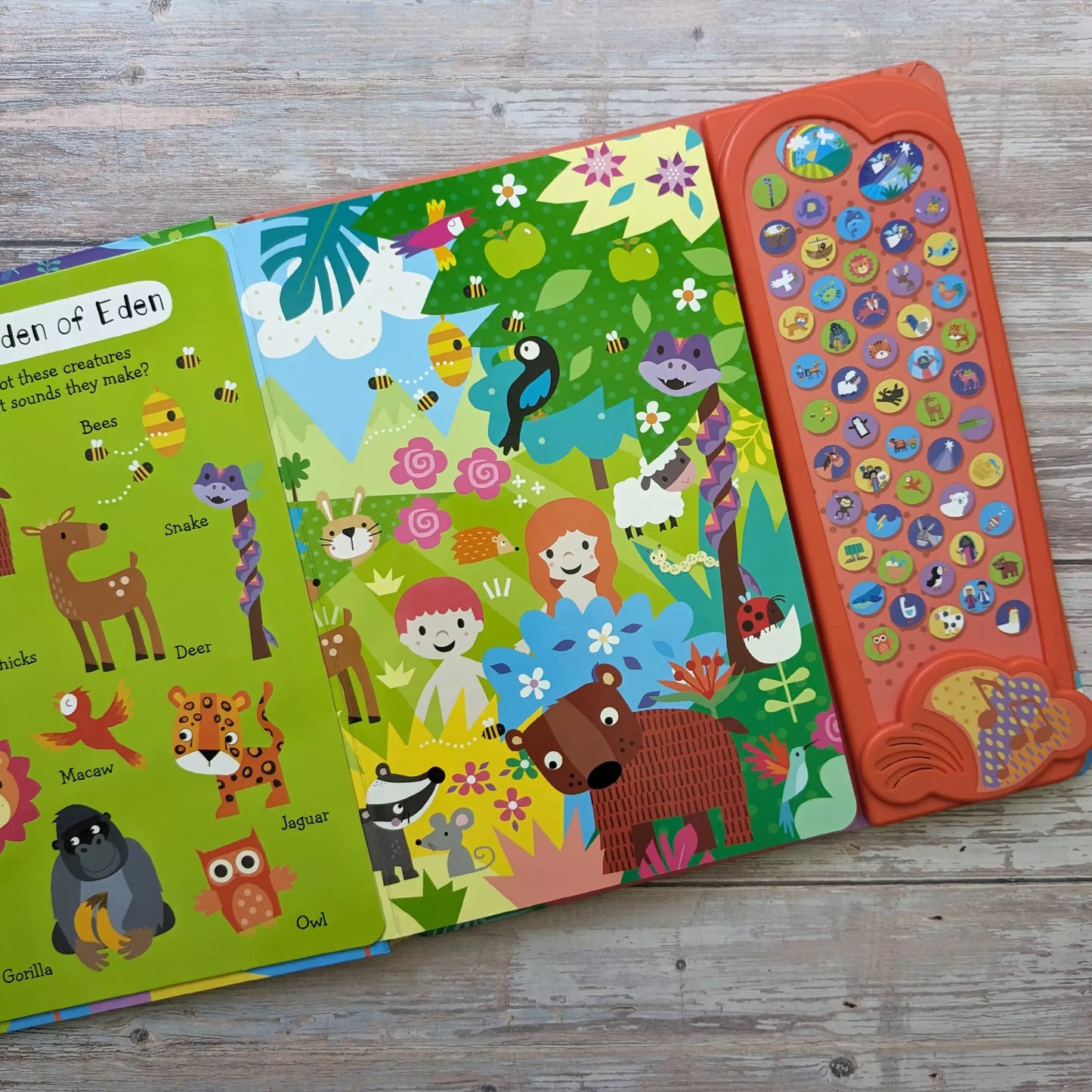 My First Look and Find Sound Book Bible