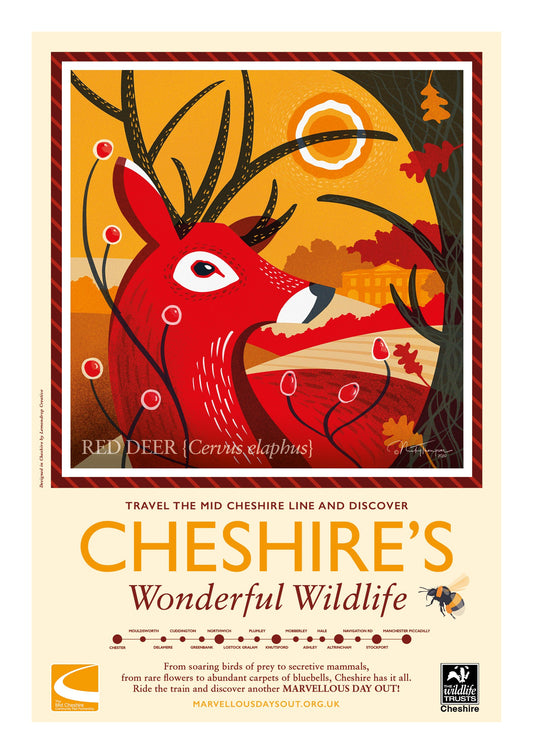 Red Deer Poster